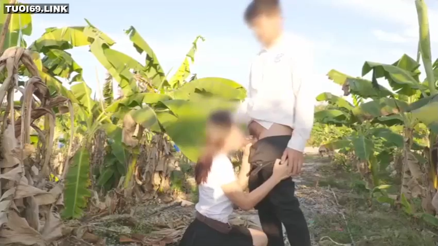 Bersemangat dan pergi ke kebun pisang untuk bermain darah secara terbuka